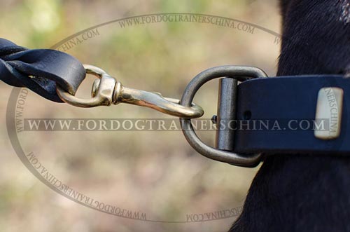 比特犬项圈